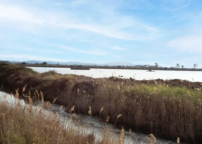 Le Clinfoc By Interhome Appartement Hyères